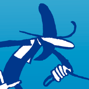 Festival du film de chercheur